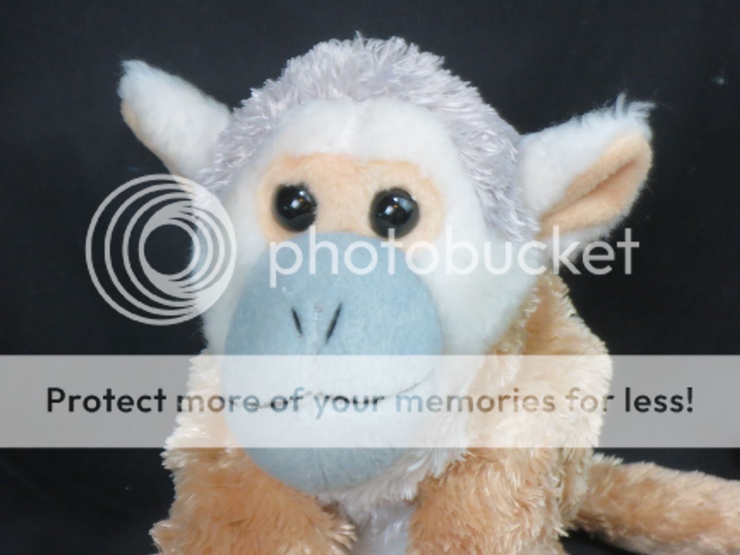 capuchin monkey plush